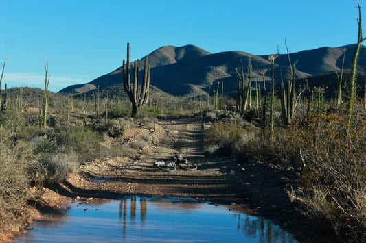 Nuestra experiencia en La Baja Divide: guía práctica