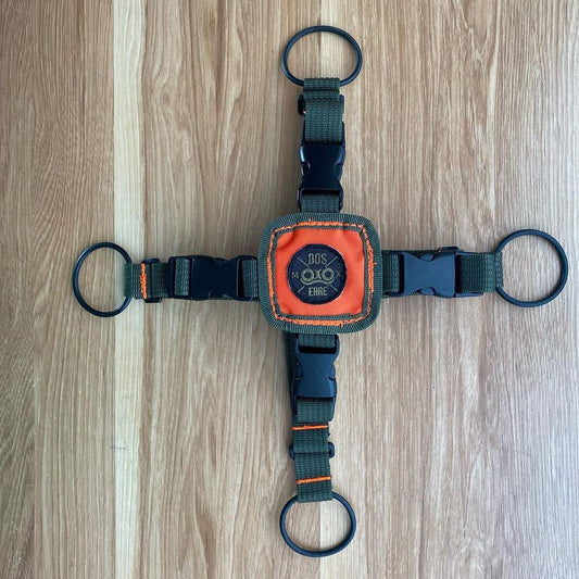 Correas de carga a parrilla de mensajería