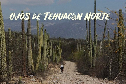 Entre Tetechos y Salinas. Ojos de Tehuacán Norte.